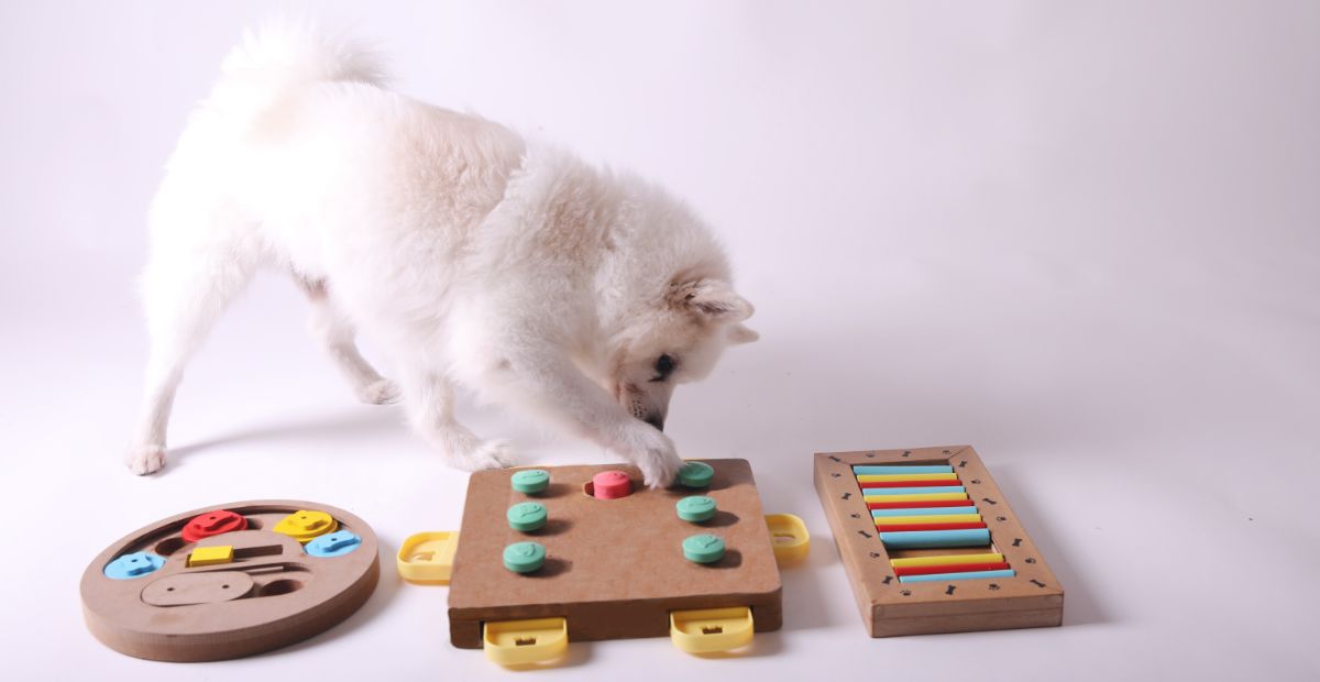 Best Dog Puzzle Toys